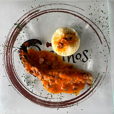 Octopus on the Grill
